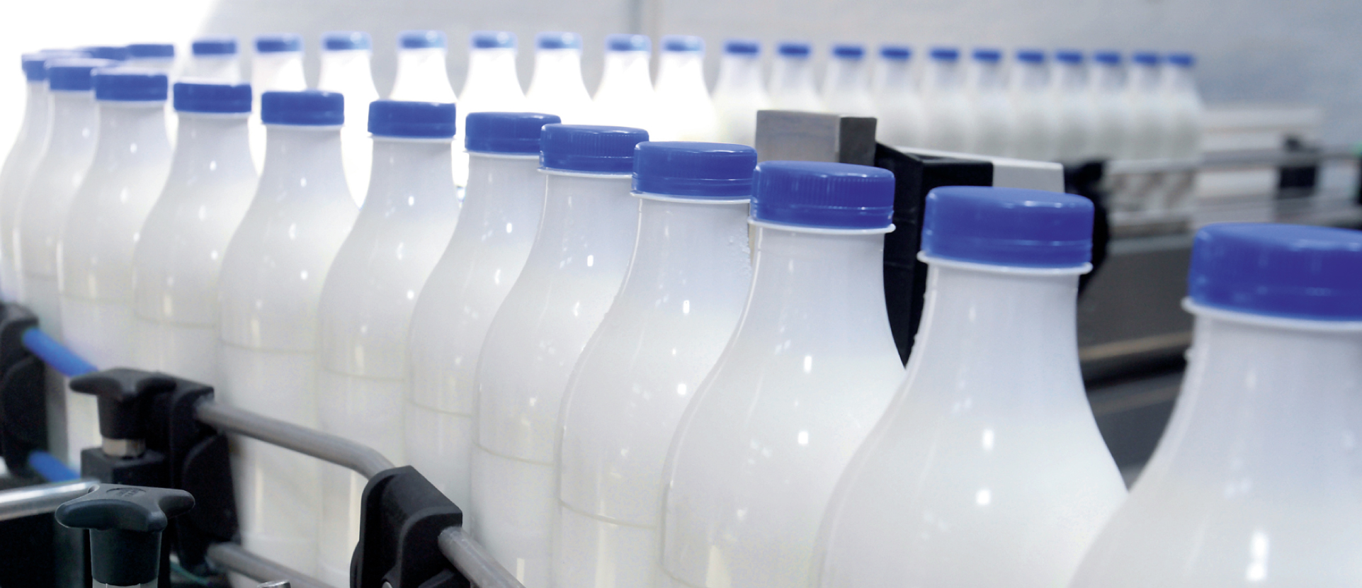 Industria Alimentaria