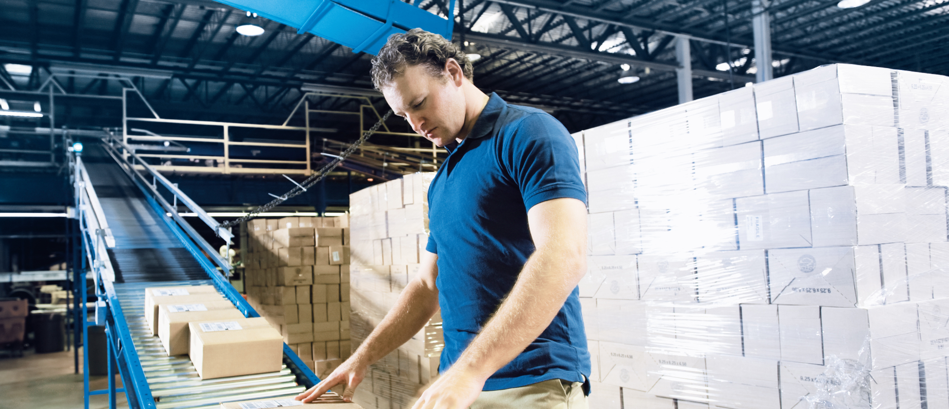 Industria Alimentaria